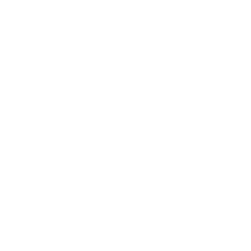 Web App Penetration Testing