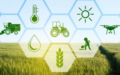 Artikel dan Tutorial Seputar Teknologi 6 Smart Farming : Industri Agrikultur di Masa Depan