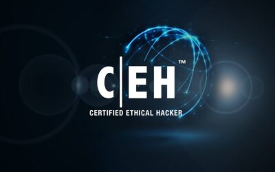 Artikel dan Tutorial Seputar Teknologi 12 Pentingnya Certified Ethical Hacker (CEH), Bisa Menjaga Kedaulatan Negara