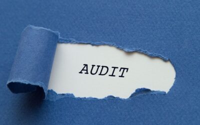 Audit IT Bukan Cuma Ceklis: Saatnya Jadi Penasihat Strategis